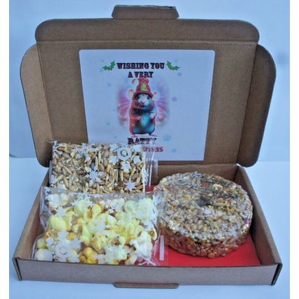 RATTY CHRISTMAS RAT GIFT BOX FILLED WITH CAKE POPCORN AND BISCUITS