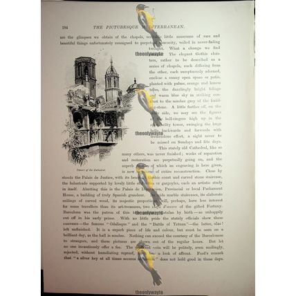Tower Of Cathedral, Barcelona, Spain, Book Illustration (Print), 1890