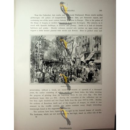 Rambla Del Centro, Barcelona, Spain, Book Illustration (Print), 1890