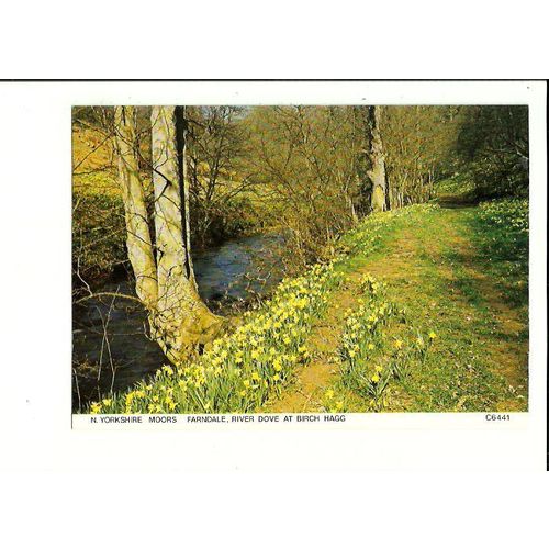Yorkshire FARNDALE River Dove Postcard by Judges (C6441)