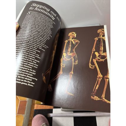 National Geographic Magazine Nov 1985 Search for Early Man - Vintage Collectable