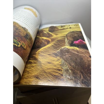 National Geographic Magazine January 1995 Gray Reef Sharks Vintage Collectable b