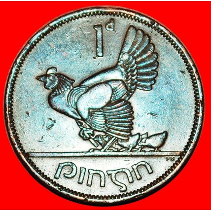 Ⰶ GREAT BRITAIN 1940-1968:IRELAND★1 PENNY 1963 HEN & CHICKS★LOW START★NO RESERVE