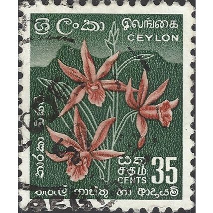 CEYLON, FLOWER, Star Orchid, Phaius tankervilleae, green 1958, 35c, #5