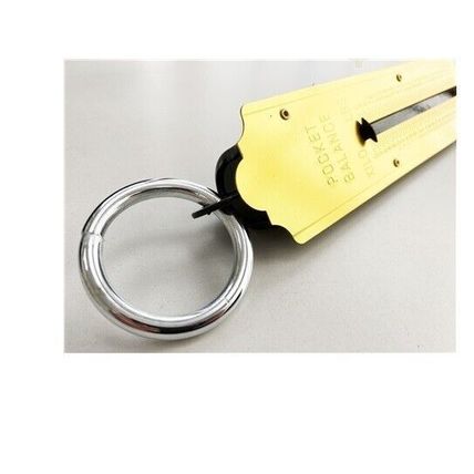 Pocket Balance Scales 50Kg Metric Imperial Increments 2Kg 4Lb Fishing Farm Home