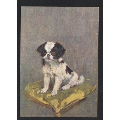 DE RESKE THE JAPANESE CIGARETTE LARGE PACKET POSTCARD UNUSED