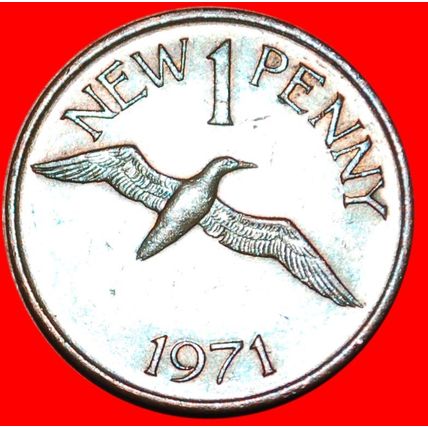 Ⰶ BIRD★ GUERNSEY ★1 NEW PENNY 1971 ELIZABETH II 1953-2022★LOW START★NO RESERVE