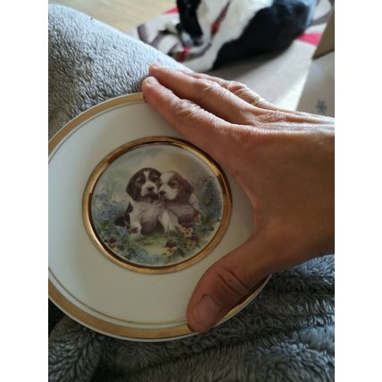 Shudehill Collectors Plate Two Dogs