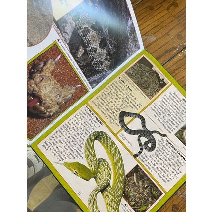 SNAKES Photo-Fact Collection Hardcover Book Fun Homeschool Science Learning Kids
