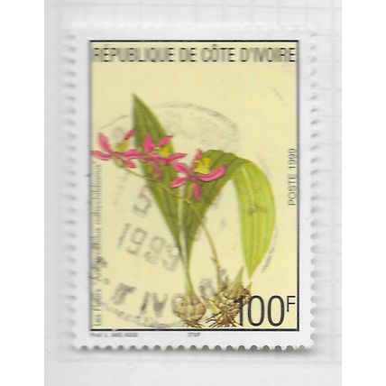 IVORY COAST 1999 FLOWERS 100F USED NATIVE ORCHID FLORA PRETTY PINK