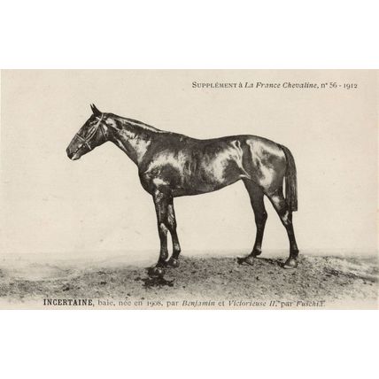 Incertaine La France Chevaline 1909 Race Horse Antique PB Postcard