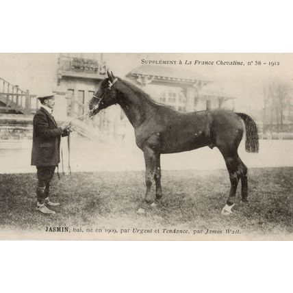 Jasmin La France Chevaline 1909 Race Horse Antique PB Postcard