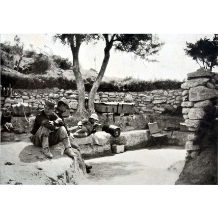 IN THE GALLIPOLI PENINSULA 1915 vultures FRANCE WORLD WAR I PRINT