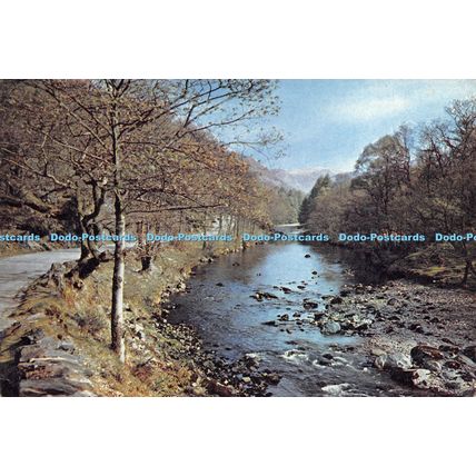 D023684 The River Derwent. Borrowdale. Cumberland. Dixon. 1969