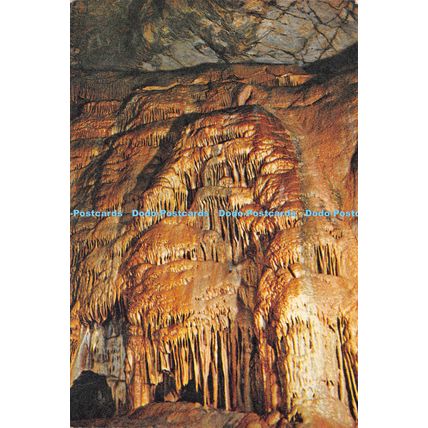 D023685 St. Pauls Goughs Caves. Cheddar. Dixon. 1976
