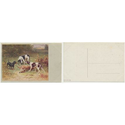 Hunting Dogs Art Painting Carl Reichert Postcard circa 1920s 2 off