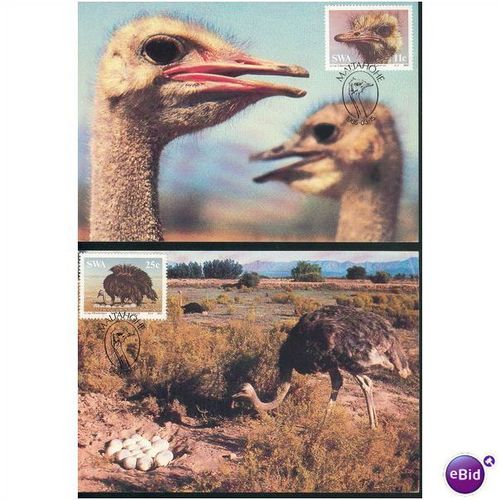 SWA SHS FDI PC's 1985 - The Ostrich