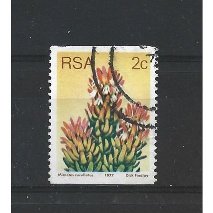 SouthAfrica.SG432 2c Mimetes Cucullatus.Fine Used.Sep25o
