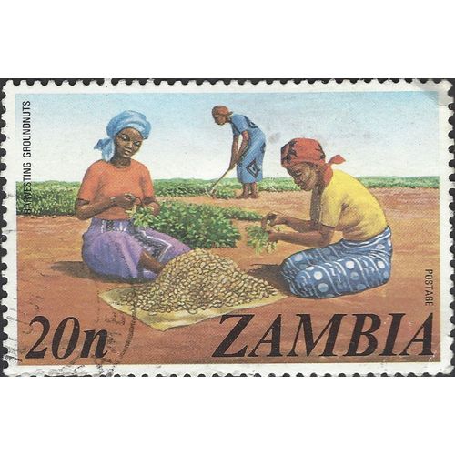 ZAMBIA, Harvesting groundnuts, brown 1975, 20n