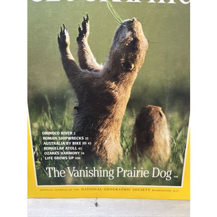 National Geographic Magazine April 1998 Prairie Dog - Vintage Collectable