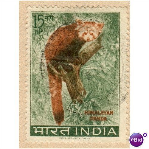 India 1963 - SG 473 - Lesser Panda 15np - used