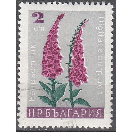 Bulgaria 1966 Michel 1686 O Cote (2009) 0.10 € Fleur La Digitale pourpre