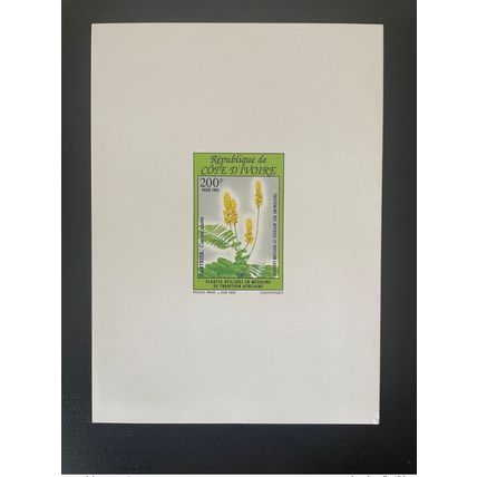 Côte d'Ivoire 1993 Mi. 1094 Fleurs Plantes médecine tradition Epreuve de Luxe