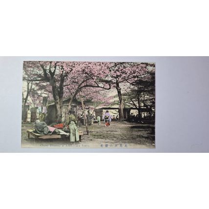 CHERRY BLOSSOMS AT ASHIKAYAMA , TOKYO, HAND TINTED. 1907-1918 (715)