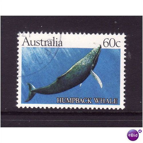 AUSTRALIA 1982 60c HUMPBACK WHALE SG 841 FINE USED