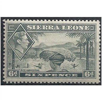 Sierra Leone 1938 SG195 6d Grey Mounted Mint . ..