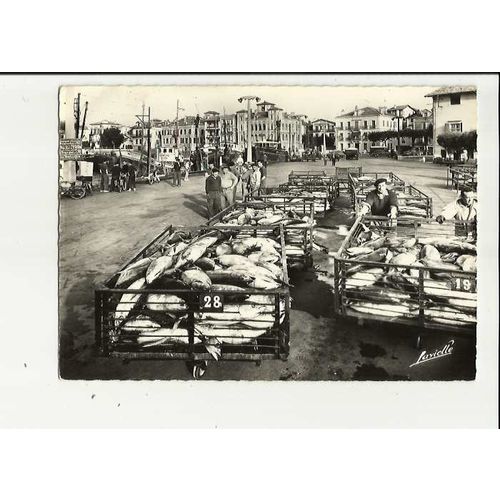 France ST JEAN DE LUZ Fish Quay Postcard by Lavielle (G.1481)