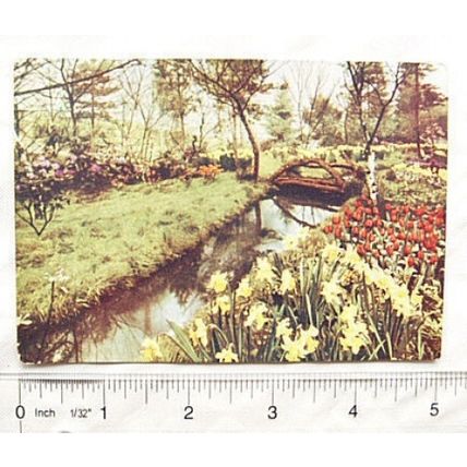 1938 postcard Godfrey Phillips Garden Studies no.29