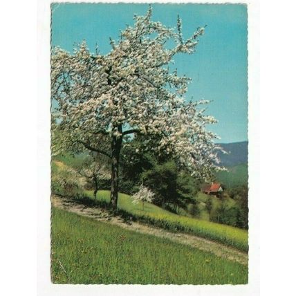 ''God Shall Supply all your need'' Postcard posted 1972 crease