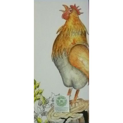TILLY HEN by KENNETH GILBERT HCDJ ILLUSTRATED PICTURE BOOK