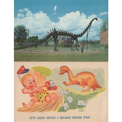 Vernal Field House Dinosaur Diplodocus Skeleton Comic 2x Postcard s