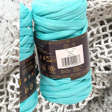 Lion Brand Fettuccini Yarn Bundle of 2 Aqua Blue 21.8oz Lot #60b