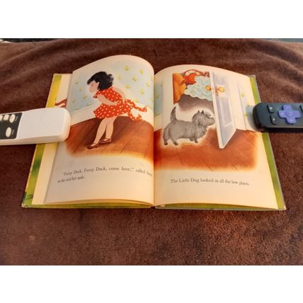 Wonder Book The Hide And Seek Duck By Irma Wilde 1952 Very Good Shape