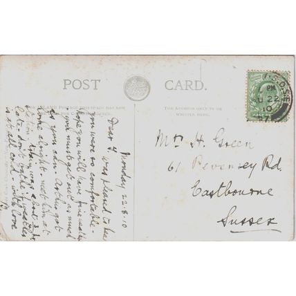 Between Beaulieu And Lyndhurst New Forest Hampshire Postcard (QHAM165)