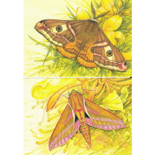 PC Mi 861/4: Moths.