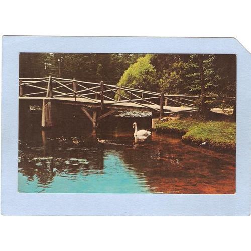 New Jersey Whiting A Peaceful Retreat At Americas Keswick~2221
