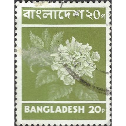 BANGLADESH, FLOWER, Hibiscus rosa sinensis, olive-green 1976, 35mm