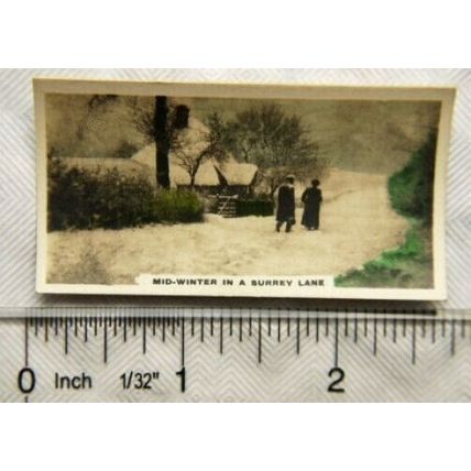 1924 Cavanders Homeland Series No. 46 mid winter in a Surrey Lane