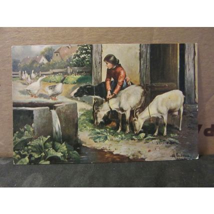 GOAT GIRL, GEESE . signed painting unused antique postcard by M Ettlinger =