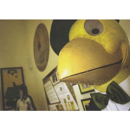 Norwich City Captain Canary Football Mascot At Castle Postcard