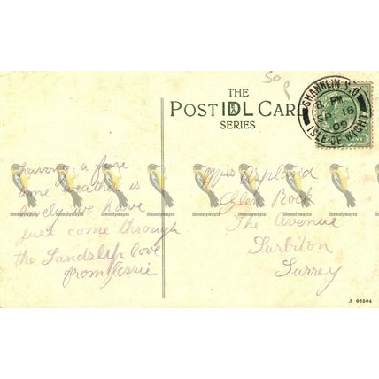 In The Landslip, IOW, 550 Ideal Postcard 1909