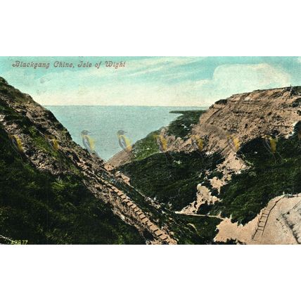 Blackgang Chine, IOW, 29877 Valentines Postcard 1909