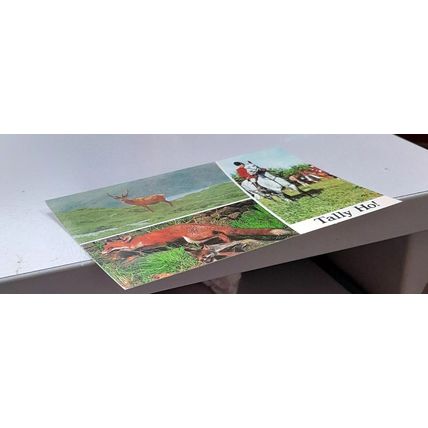 TALLY HO! : POSTCARD