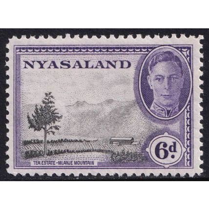 Nyasaland KGVI 1945 6d Black Violet SG150 Mint MH