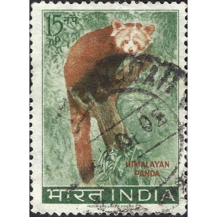 INDIA, MAMMAL, Red panda, Ailurus fulgens, green 1963, 15np