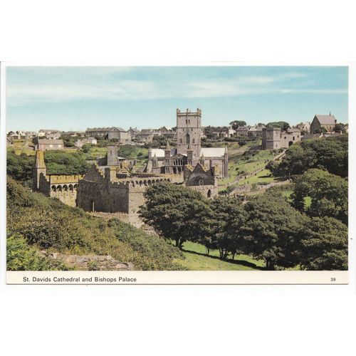 St David's Cathedral and Bishops Palace Postcard 39